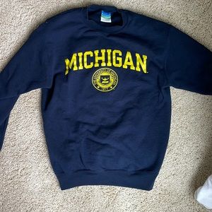 Champion University Of Michigan Sweatshirt